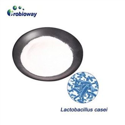 Augstas koncentrācijas Lactobacillus Casei