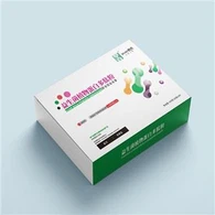 Lactobacillus Johnsonii sojas jogurts