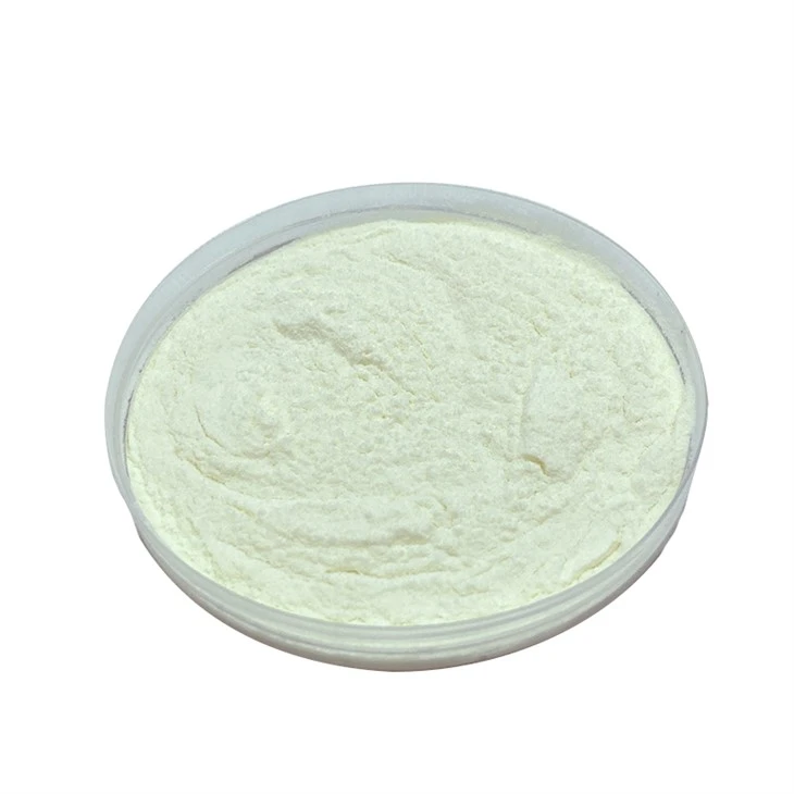 Lactobacillus Plantarum