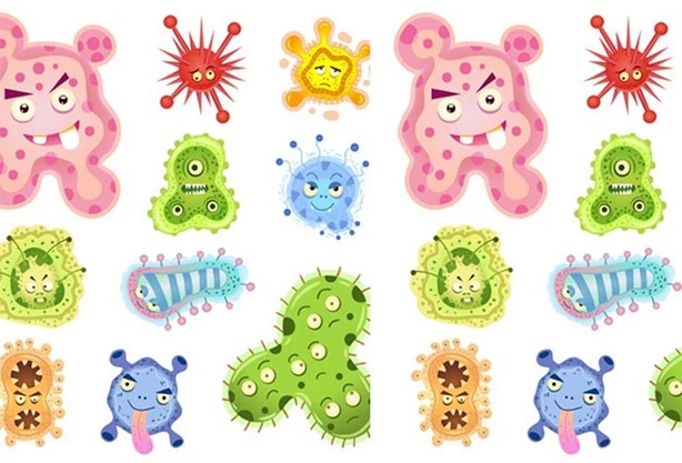 Probiotics 0